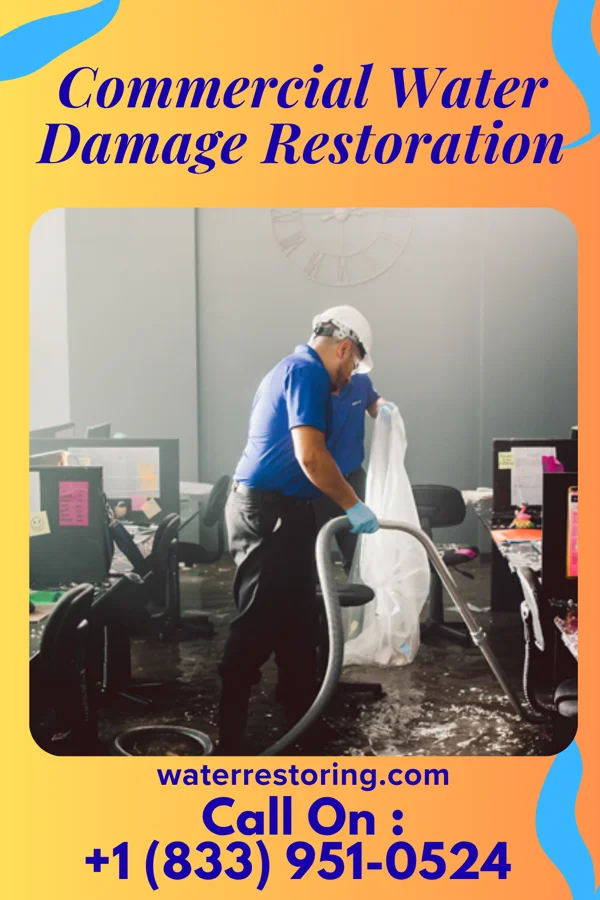 Commercial Water Damage Restoration in Manistee Lake, MI