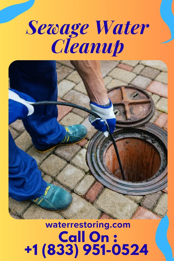 Sewage Water Cleanup in Manistee Lake, MI